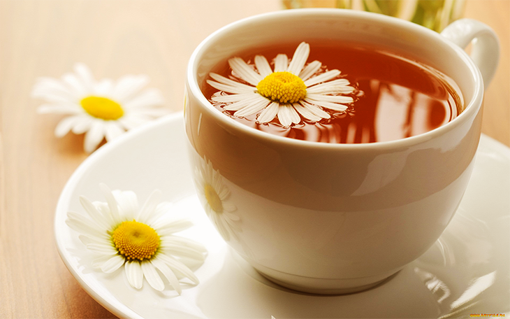 cách pha trà hoa cúc